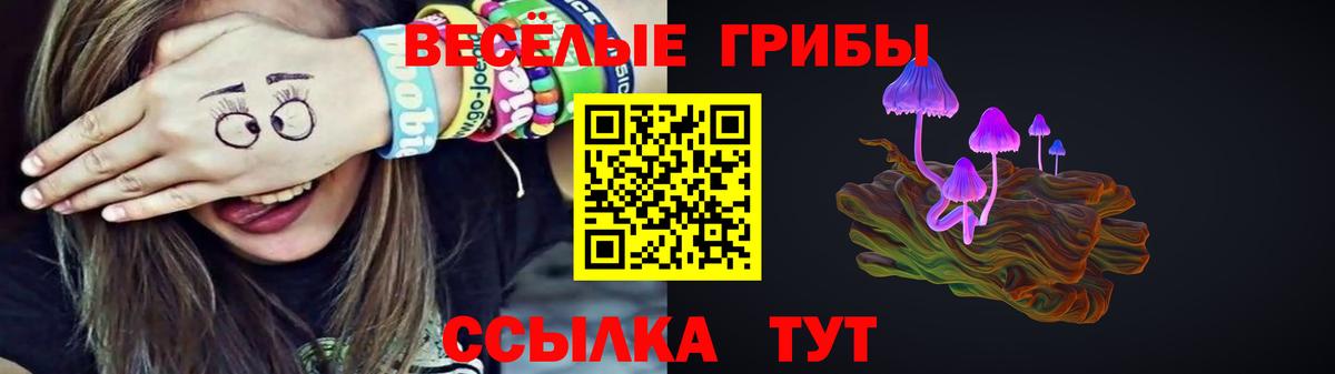Сунжа  Галлюциногенные грибы MAGIC MUSHROOMS  Вход с VPN 